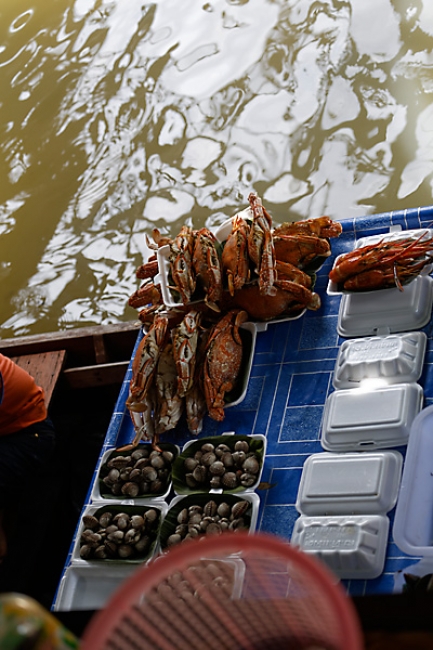 Talin chan-NOV13-177